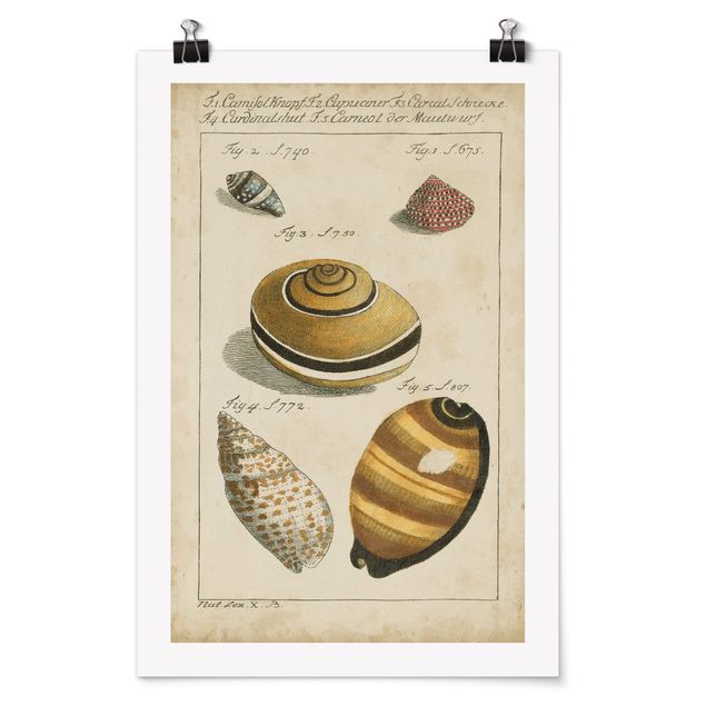 Poster - Vintage Worm Drawing Yellow