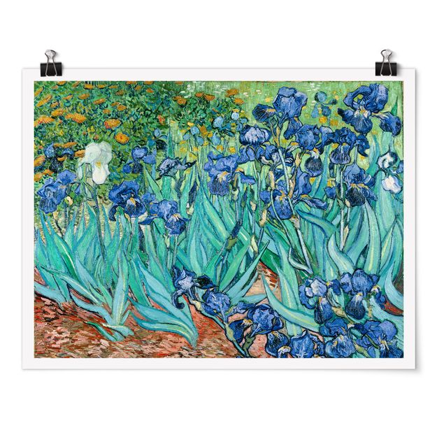 Poster - Vincent Van Gogh - Iris