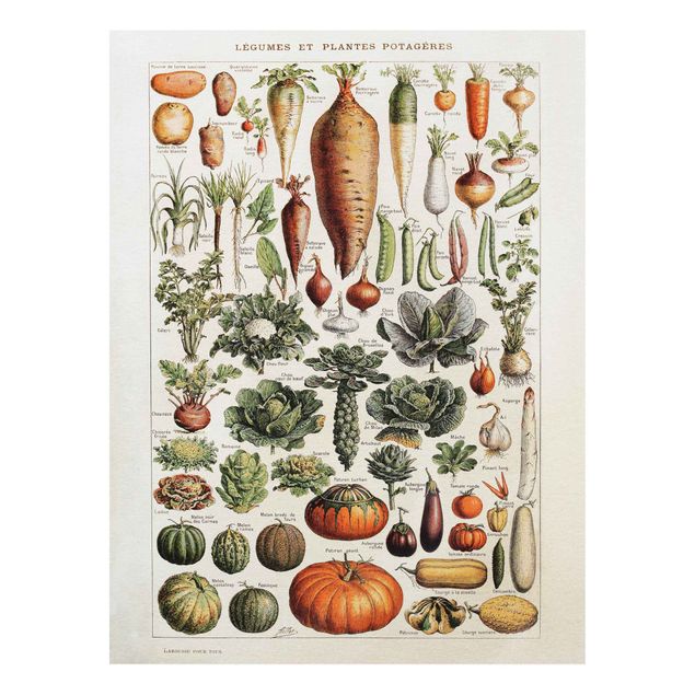 Print on forex - Vintage Board Vegetables