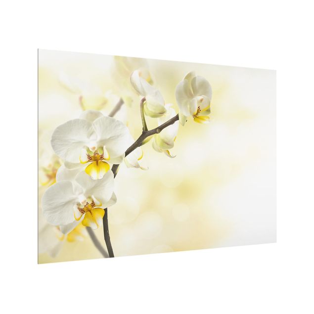 Glass Splashback - orchid branch - Landscape 3:4
