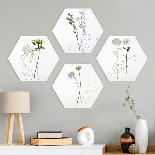 Alu-Dibond hexagon - Botanical Watercolour Set I