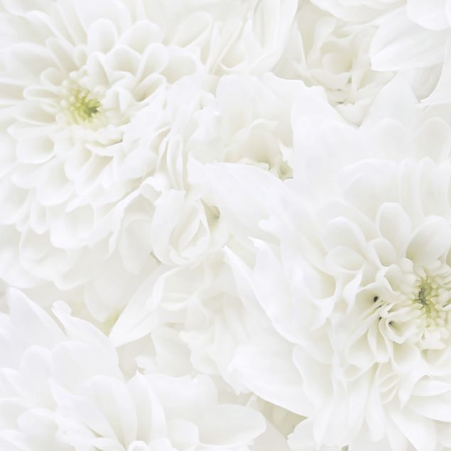 Adhesive film - Dahlia Sea Of Flowers White