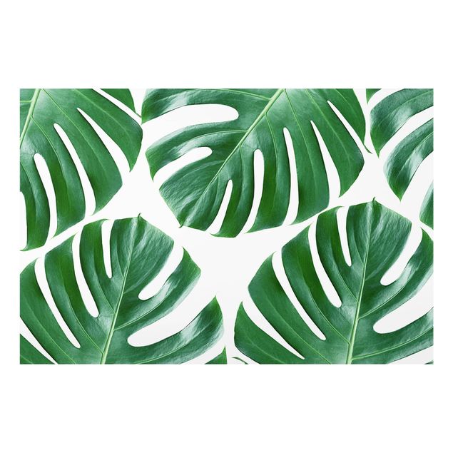 Splashback - Tropical Green Leaves Monstera