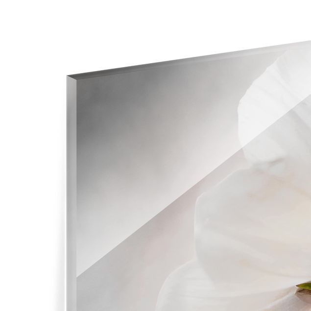 Glass Splashback - Heavenly Flower Dream - Square 1:1