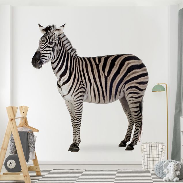 Wallpaper - Big Zebra
