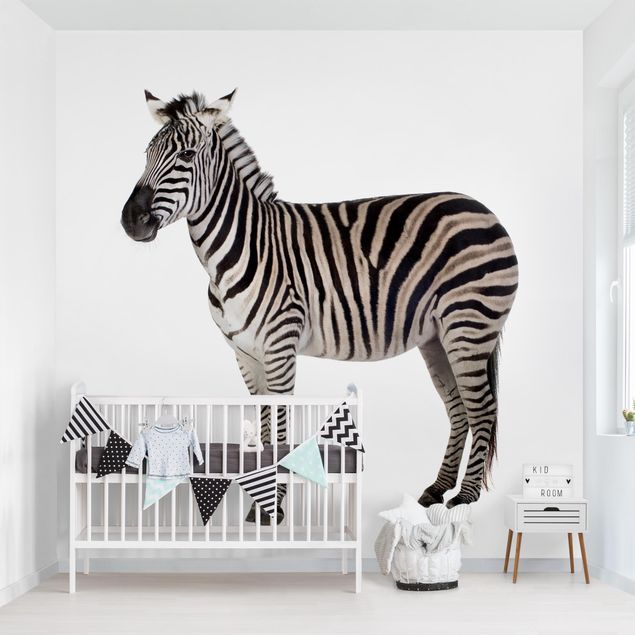Wallpaper - Big Zebra
