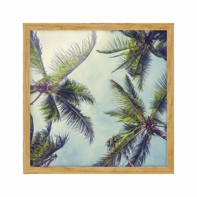 Framed poster - The Palm Trees