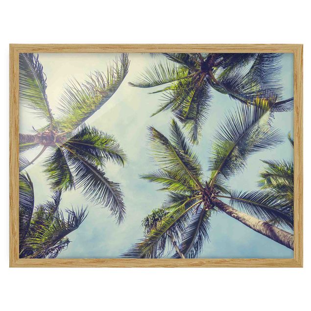 Framed poster - The Palm Trees