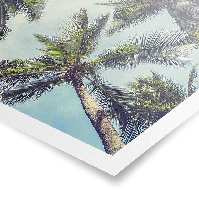Poster - The Palm Trees