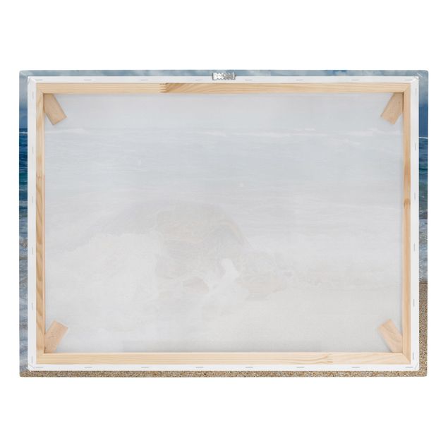 Print on canvas - The Turtle Returns Home - Landscape format 4:3
