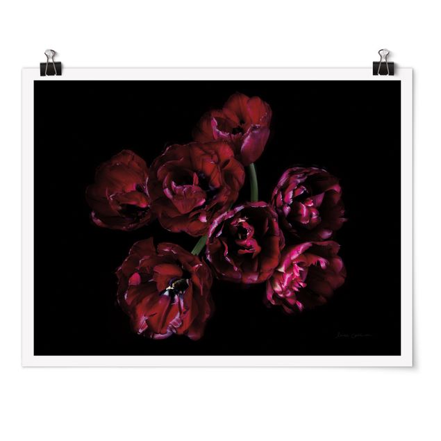 Poster art print - Double tulips in red