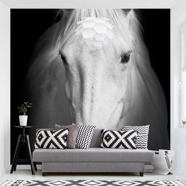 Wallpapers Dream Of A Horse