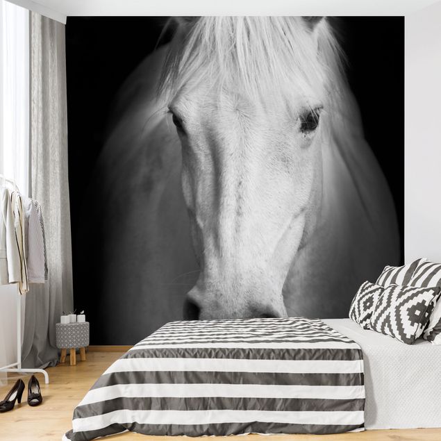 Wallpaper - Dream Of A Horse