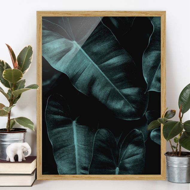 Framed poster - Jungle Leaves Dark Green