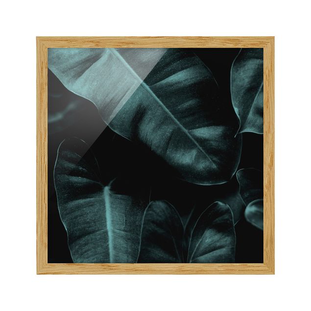 Framed poster - Jungle Leaves Dark Green