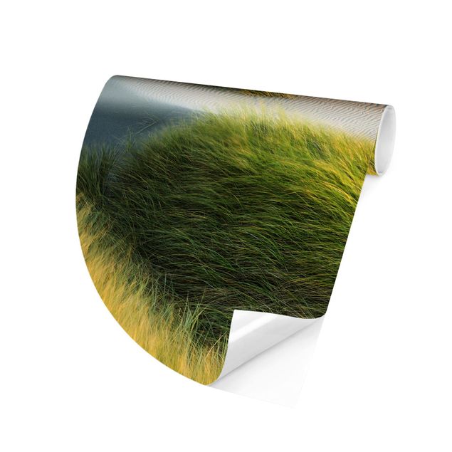 Self-adhesive round wallpaper beach - Dunes And Grasses At The Sea
