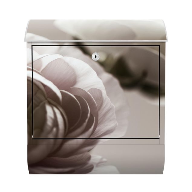 Letterbox - Focus On Dark Flower