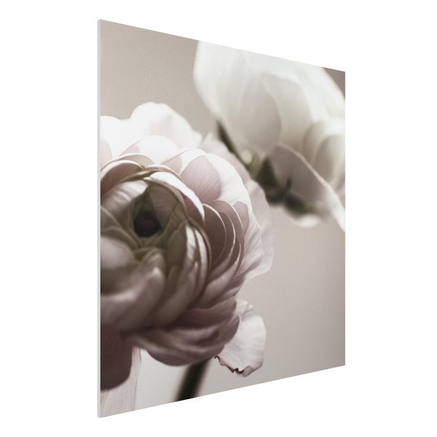 Print on forex - Focus On Dark Flower  - Square 1:1