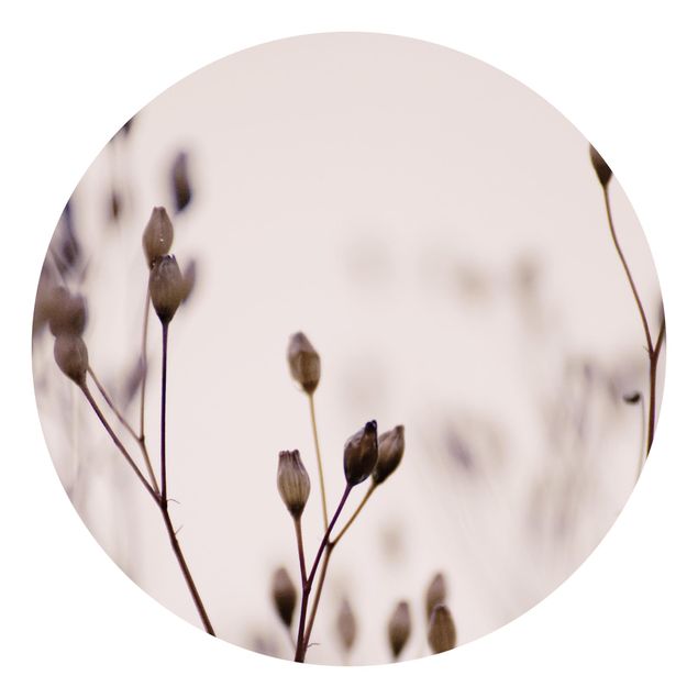 Self-adhesive round wallpaper - Dark Buds On Wild Flower Twig
