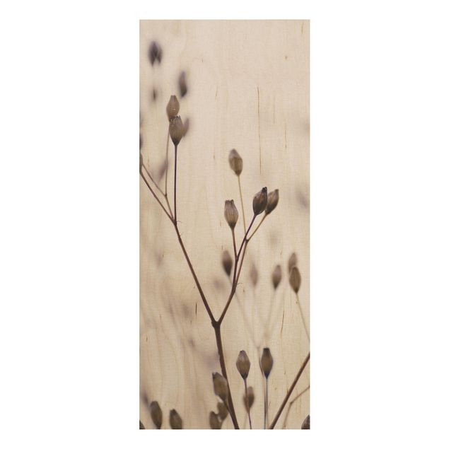 Wood print - Dark Buds On Wild Flower Twig