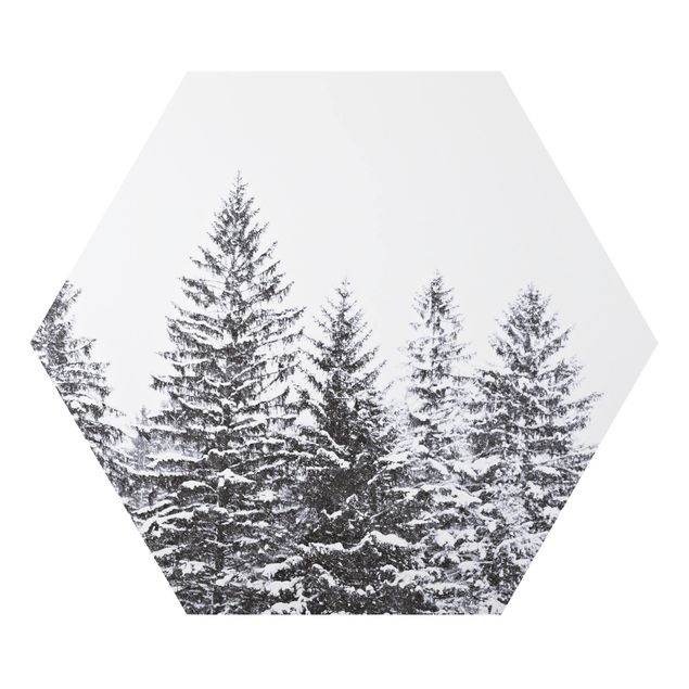 Alu-Dibond hexagon - Dark Winter Landscape