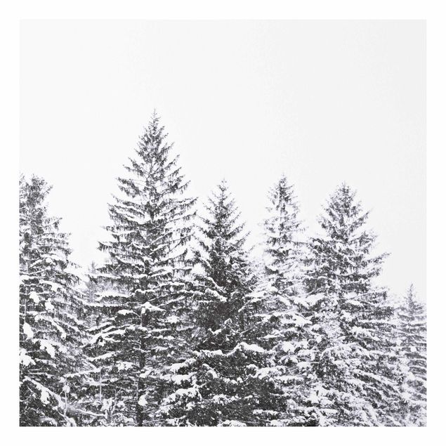 Print on forex - Dark Winter Landscape - Square 1:1