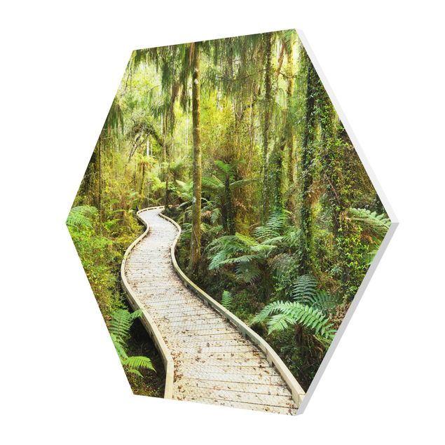 Forex hexagon - Path In The Jungle
