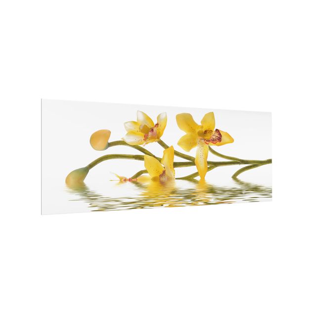 Splashback - Saffron Orchid Waters
