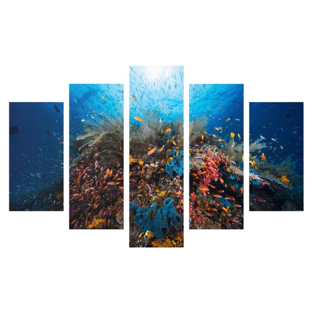 Print on canvas 5 parts - Lagoon Underwater