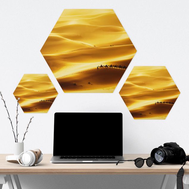 Alu-Dibond hexagon - Golden Dunes