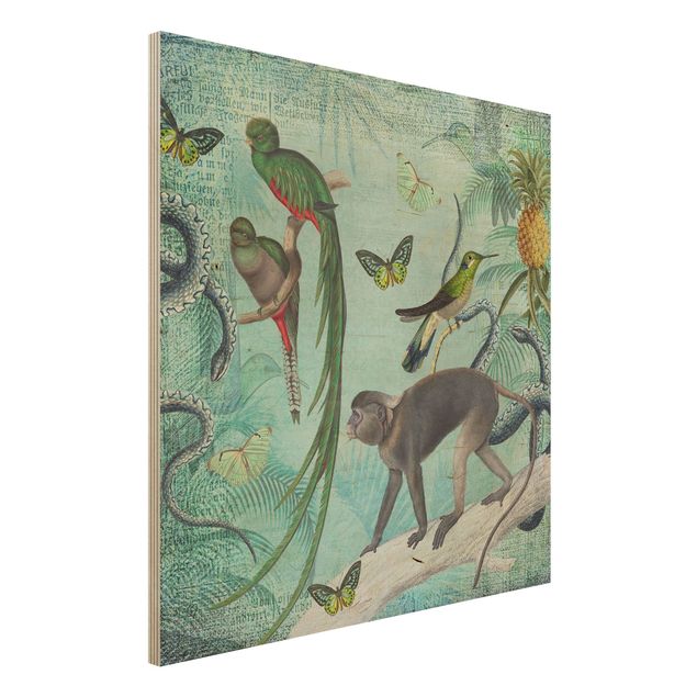 Print on wood - Colonial Style Collage - Monkeys And Birds Of Paradise