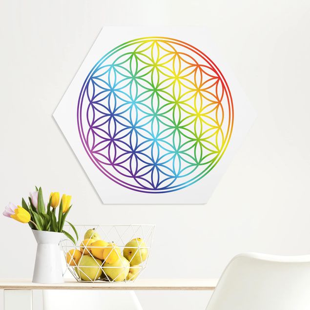 Forex hexagon - Flower of Life rainbow color