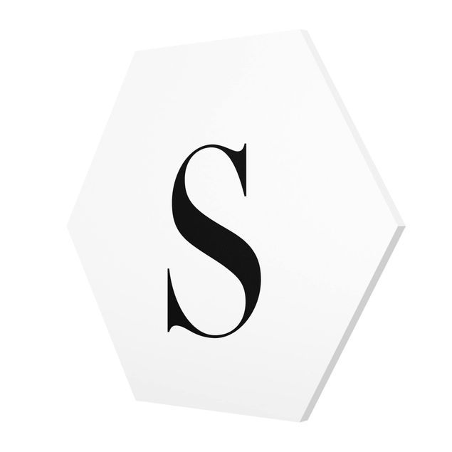 Forex hexagon - Letter Serif White S