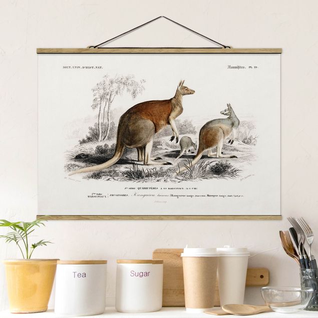 Fabric print with poster hangers - Vintage Board Kangaroo