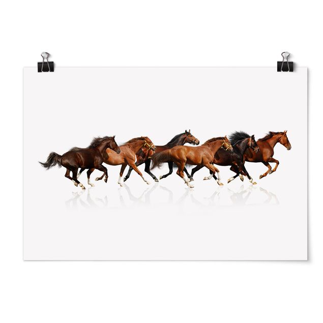 Poster - Horse Herd