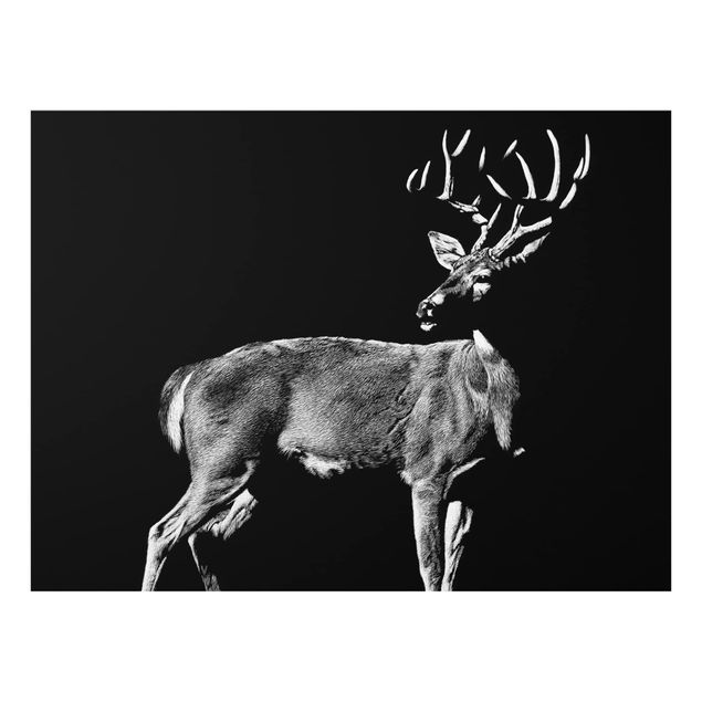 Glass Splashback - Deer In The Dark - Landscape 3:4