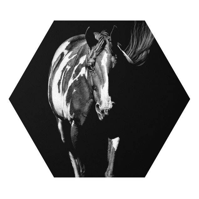 Forex hexagon - Horse In The Dark