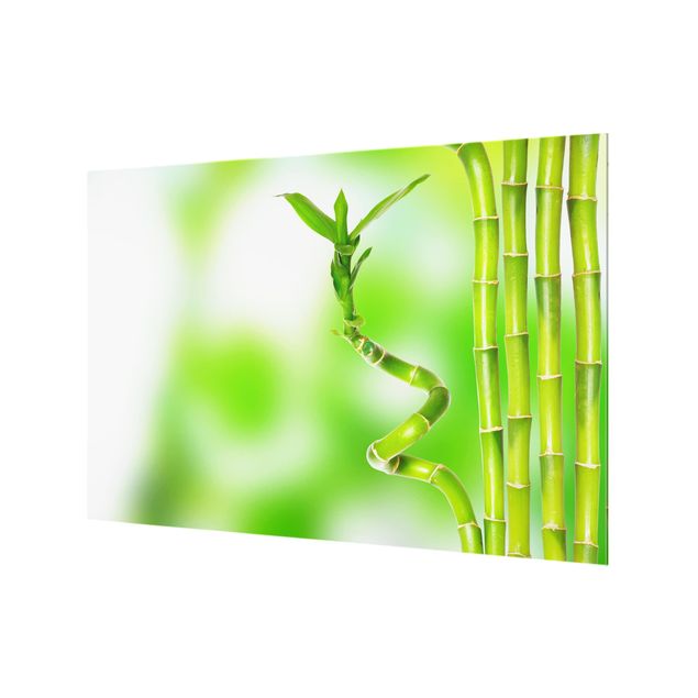Splashback - Green Bamboo