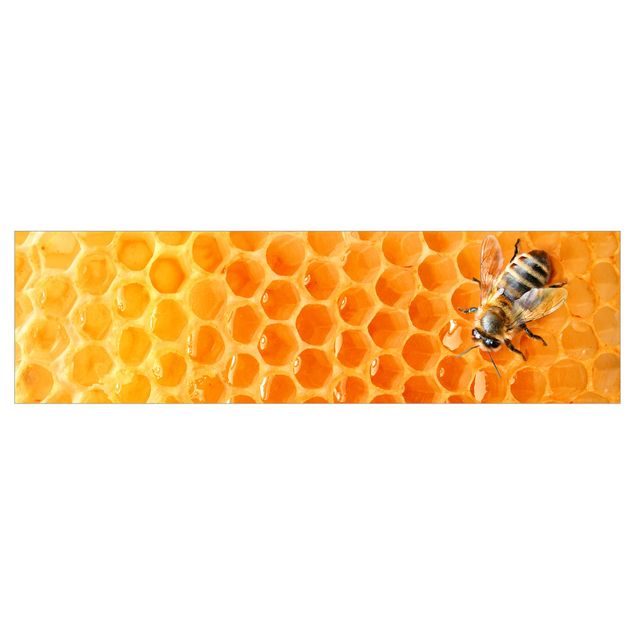 Kitchen wall cladding - Honey Bee