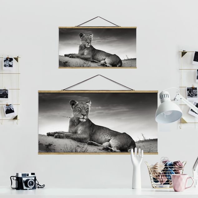 Fabric print with poster hangers - Resting Lion
