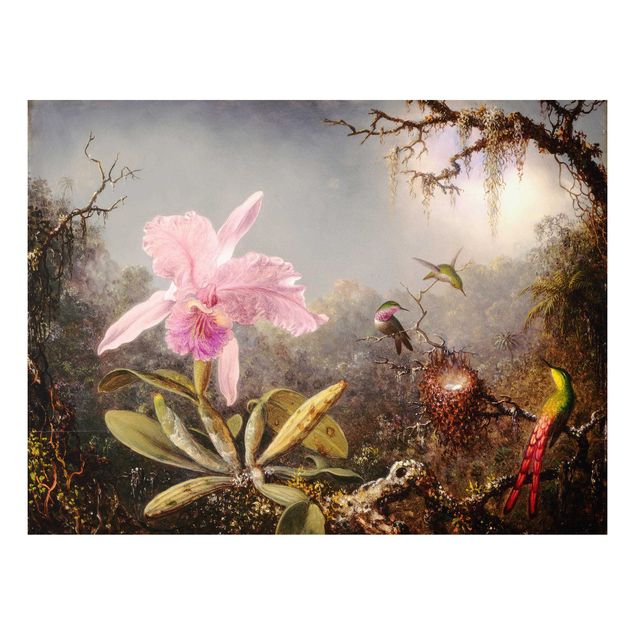 Print on forex - Martin Johnson Heade - Orchid And Three Hummingbirds