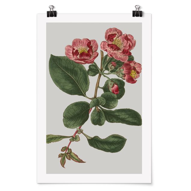 Poster flowers - Floral Jewelry I
