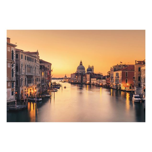 Splashback - Golden Venice