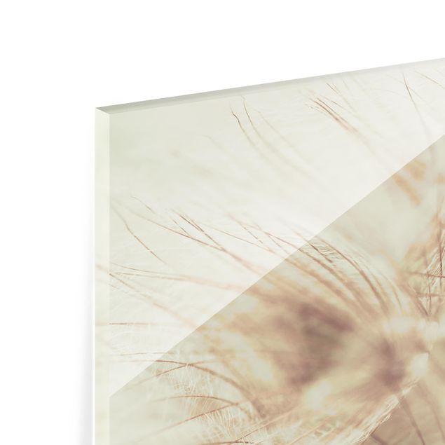 Glass Splashback - Detailed Dandelion Macro Shot With Vintage Blur Effect - Square 1:1