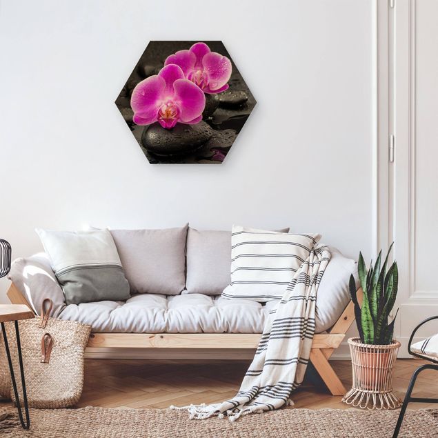 Hexagon Picture Wood - Pink Orchid Flowers On Stones With Drops