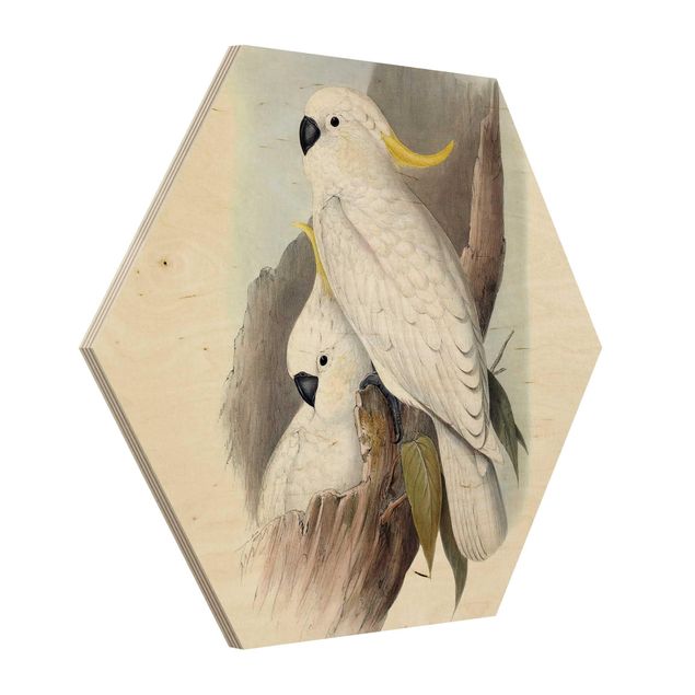Wooden hexagon - Pastel Parrots III