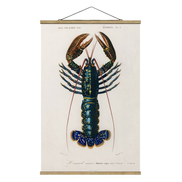 Fabric print with poster hangers - Vintage Board Blue Lobster