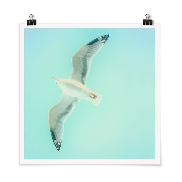 Poster - Blue Sky With Seagull