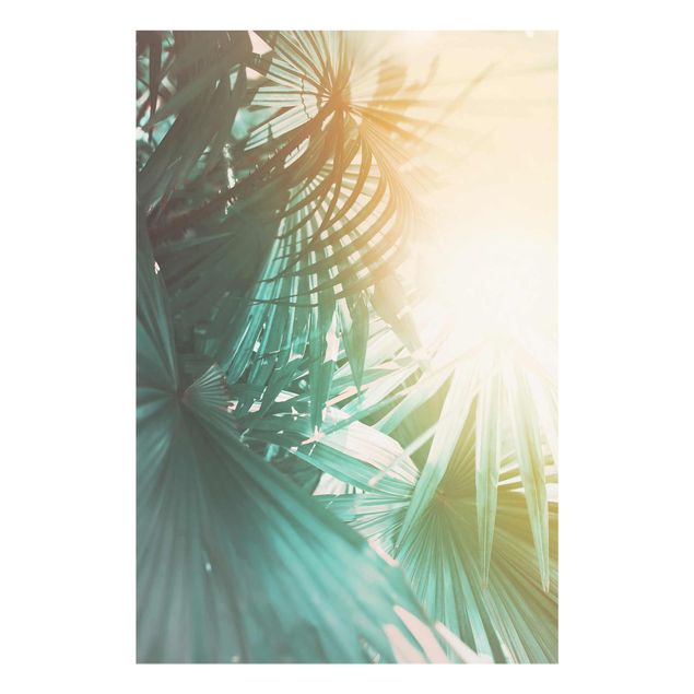 Glass print - Tropical Plants Palm Trees At Sunset