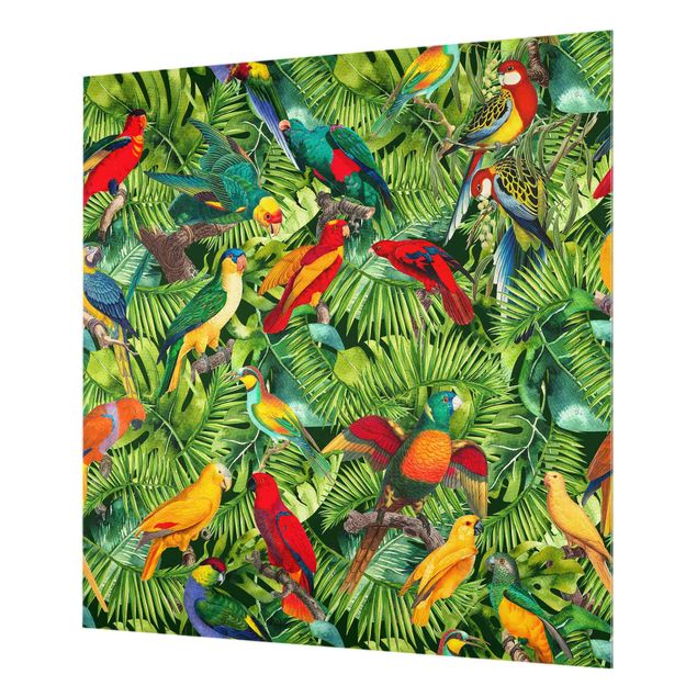 Splashback - Colourful Collage - Parrots In The Jungle